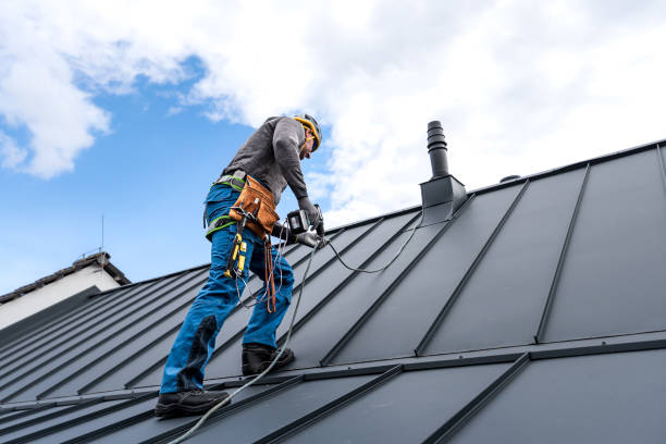 Best Skylight Installation and Repair  in Sawgrass, FL